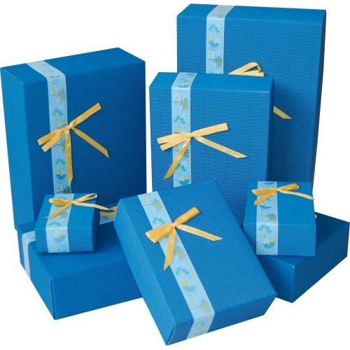 Set Prestige albastru Bambinio