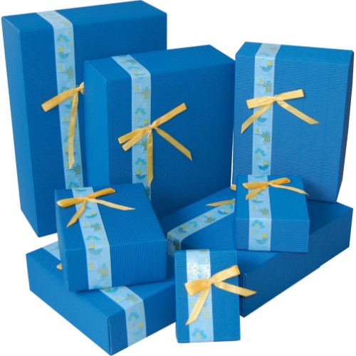 Set Prestige albastru Bambinio