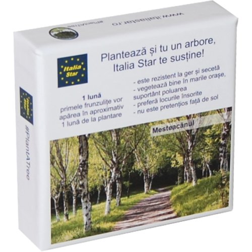 Duo PM9x9x3 personalizata policromie