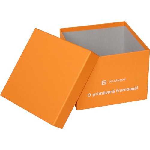 Cutie Duo CM18.5x18.5x14 personalizata CEZ