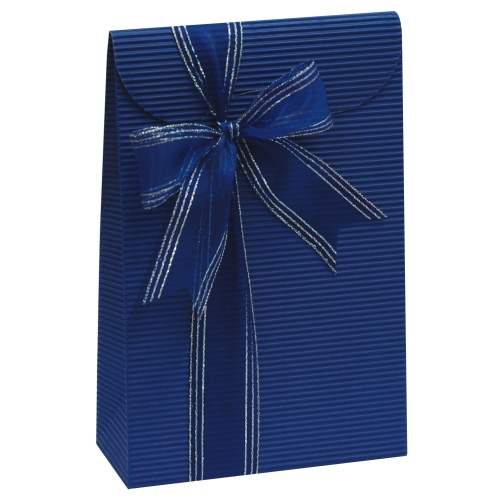 Plic mediu colectia "Blue Navy"