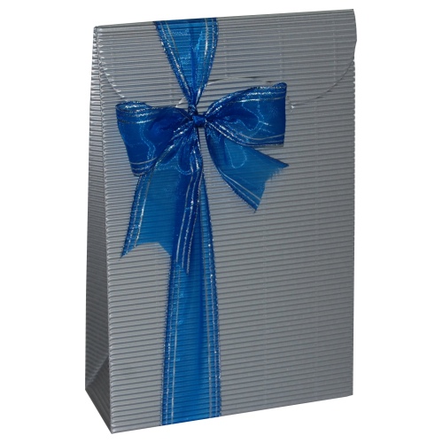 Plic mediu colectia "Blue Navy"