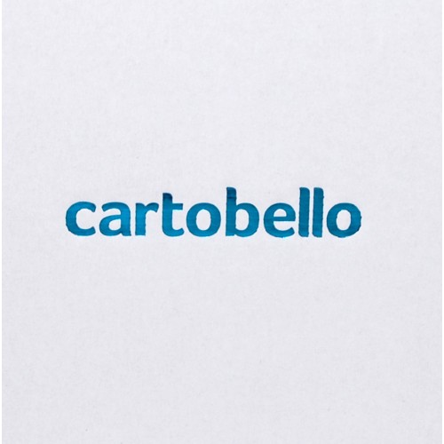 Scatole Basic 19.5x13.5x6.5 personalizat Cartobello