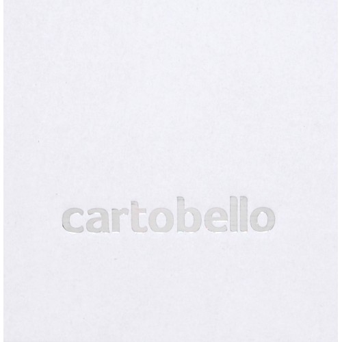 Scatole ECO 20x30x12 personalizat Cartobello