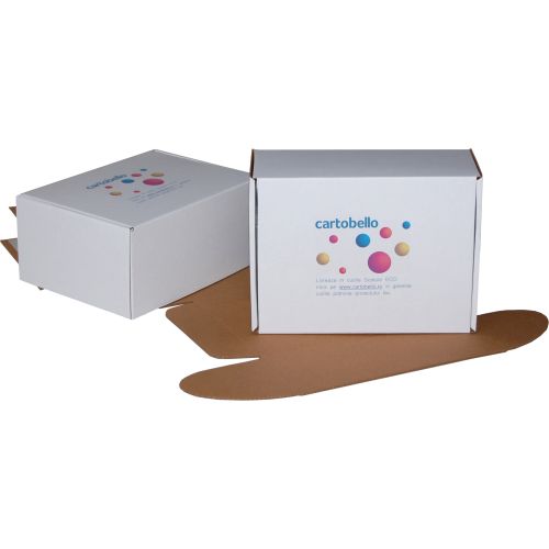 Scatole Basic 21x16x10 personalizat Cartobello
