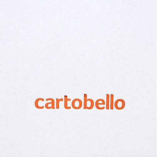 Scatole ECO 30x20x10 personalizat Cartobello